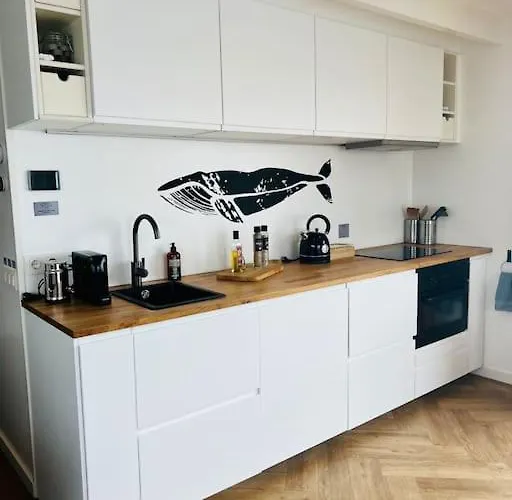 Botel Surla Houseboat Walvis Kagerplassen Buitenkaag