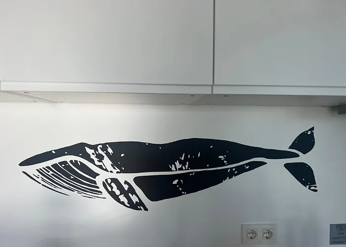 Surla Houseboat Walvis Kagerplassen *